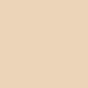 HSK Renodeco Wandverkleidung - Muster Uni Hochglanz, Crema-Beige