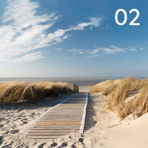 Motiv: Dünensteg Nordsee