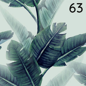 Motiv: Tropenblätter Mint