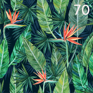 Motiv: Tropenblätter Strelizia Mix