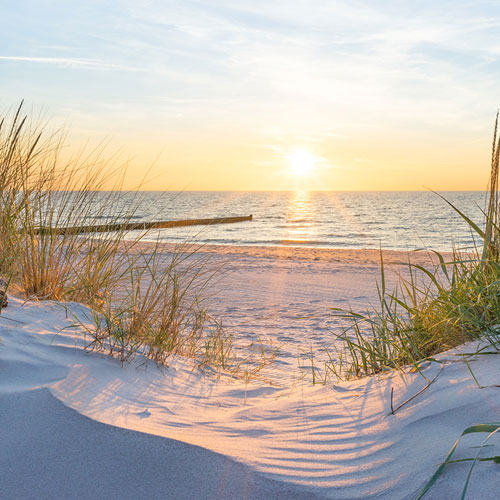 HSK Renodeco Dekor Kuestengras in Abendsonne HSK Renodeco Dekor Kuestengras in Abendsonne